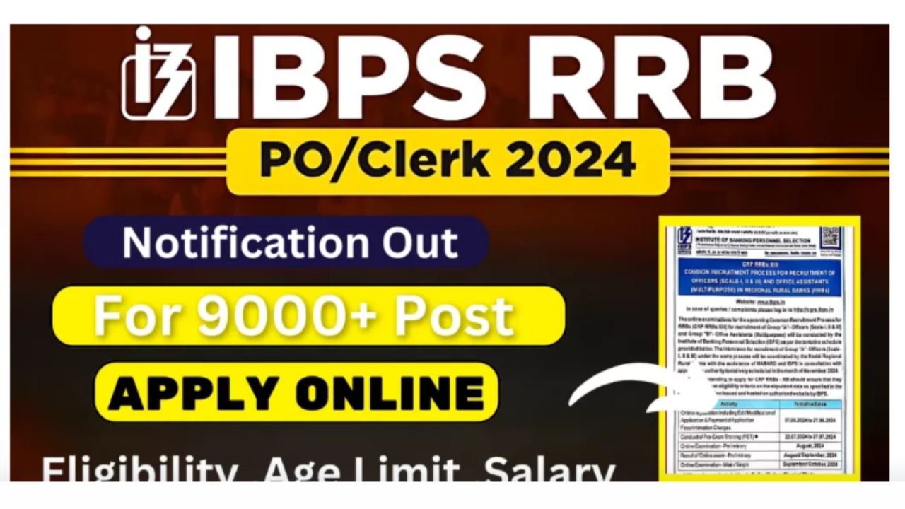 IBPS CRP RRB XIII Recruitment 2024: 9995 Posts Open for Application